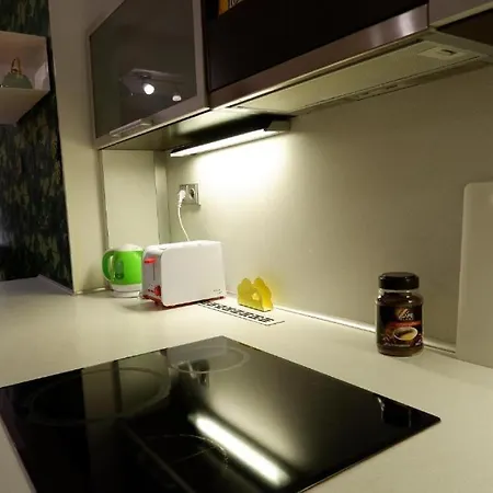 Apartament V Centru Mesta S Vyhledem Na Petra, A Parkovani *