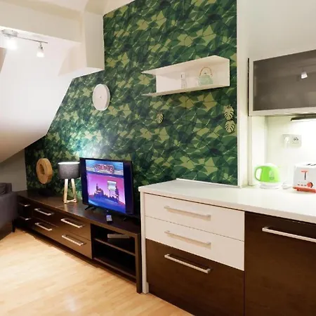 Appartement V Centru Mesta S Vyhledem Na Petra, A Parkovani