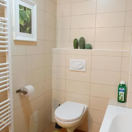 Apartment V Centru Mesta S Vyhledem Na Petra, A Parkovani Brno