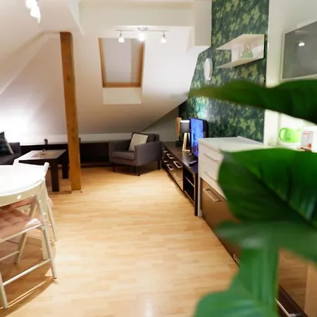 Appartement V Centru Mesta S Vyhledem Na Petra, A Parkovani *