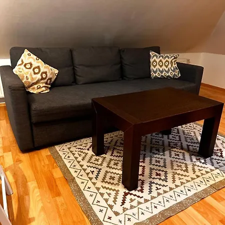 Apartment V Centru Mesta S Vyhledem Na Petra, A Parkovani Brünn
