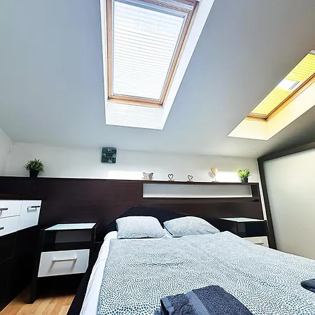 V Centru Mesta S Vyhledem Na Petra, A Parkovani Appartement Brno