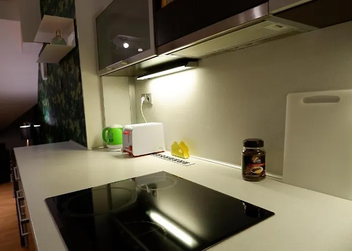 Apartment V Centru Mesta S Vyhledem Na Petra, A Parkovani *