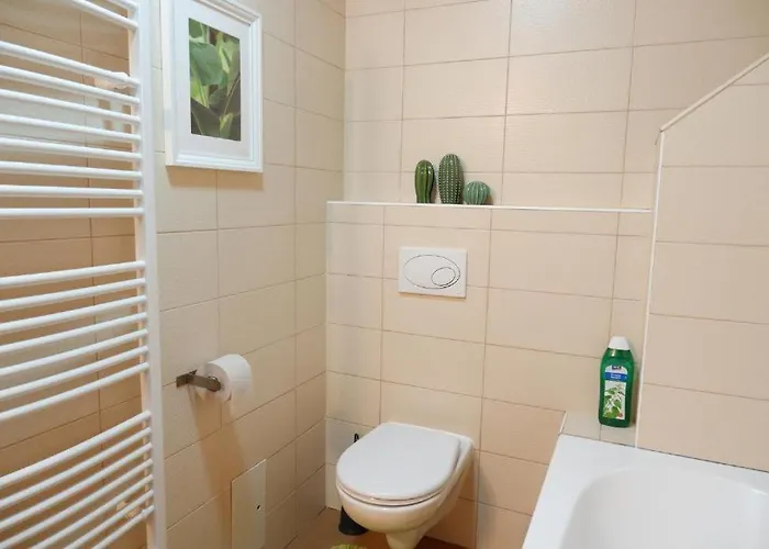 Apartment V Centru Mesta S Vyhledem Na Petra, A Parkovani Brünn