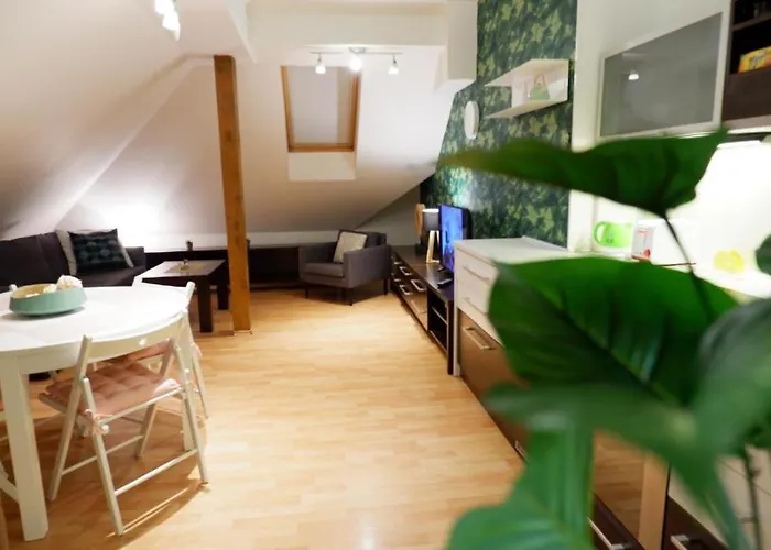 Apartment V Centru Mesta S Vyhledem Na Petra, A Parkovani *