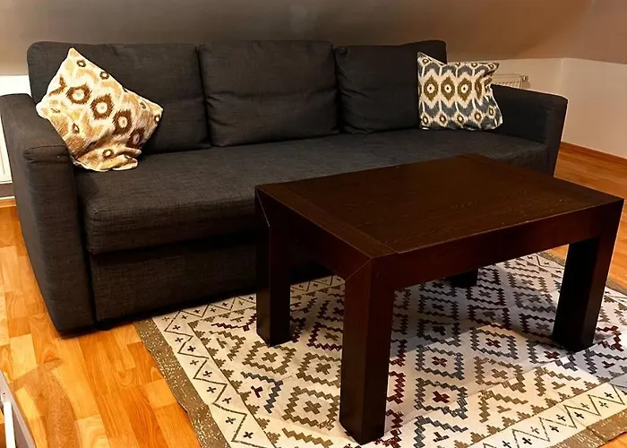 Apartment V Centru Mesta S Vyhledem Na Petra, A Parkovani Brünn
